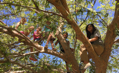 英國超紅心理測驗！5 秒看出私密性格，坐樹梢的人超孤僻？