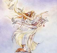 [情報]  - 花精幻影塔羅牌繁體書上市