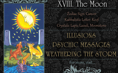 塔羅牌義：月亮 The Moon
