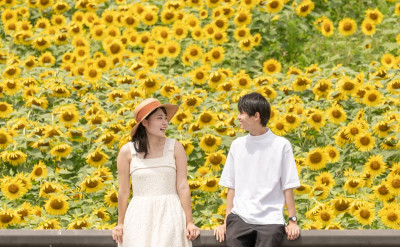 財富自由就看這次：這些星座配對「最好賺」，財運不斷，越來越有錢！【金牛座×處女座】根本無敵... ...