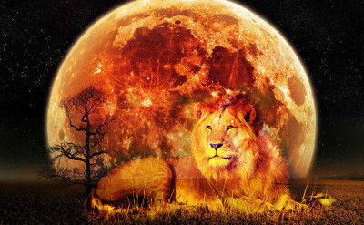 獅子座滿月駕到！12上升星座即將有奇妙戲劇性的大事發生？