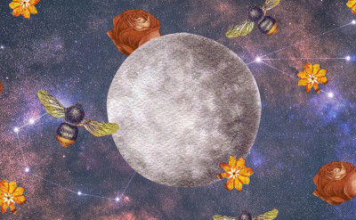 2021年第二波水逆；各星座又該如何應對呢？