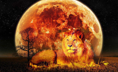 2021年獅子座新月：十二星座將會有何驚喜蛻變？