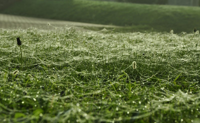 「寒露百草枯」？深秋節氣養生，看這篇就夠！