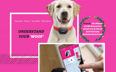 「90%準確度的智慧項圈」：讀懂狗語不是夢，翻譯年糕閃邊去！