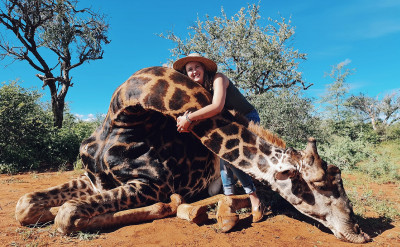 「牠的心臟好大顆」！為了情人節，竟然獵殺老年長頸鹿！？