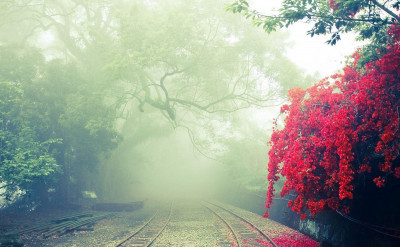 熱到快蒸發？炎夏避暑旅遊 5 大秘境等你衝一波！