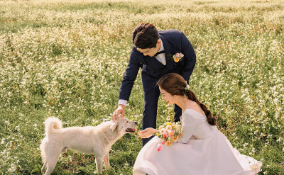 12星座的他，未來會成為什麼類型的丈夫呢？