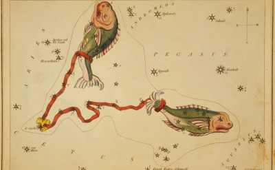 雙魚座的個性優缺點、愛情感情觀與曖昧攻略大全（持續更新中！）