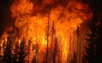 當 12 星座都化身成自然災害，會變成怎樣呢？