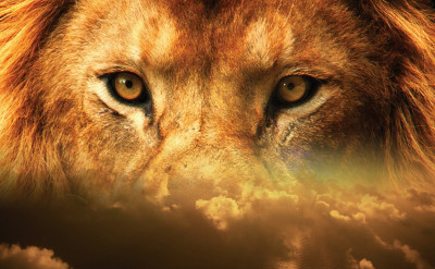 那些塔羅牌面的動物——塔羅中的動物象徵