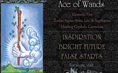 塔羅牌義：權杖一  Ace of Wands