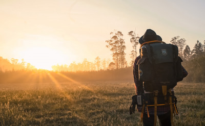帶著水果去旅行：你人生的起伏，靠這個心理測驗就能揭曉！