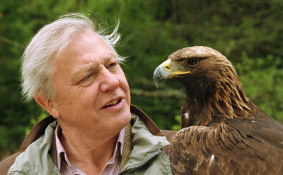 高齡 94 歲的網紅，用盡餘生讓人開始愛地球... ...