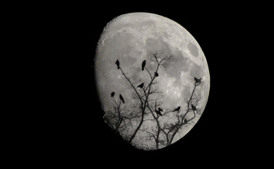 以觀看恐怖電影的方式，理解塔羅中的月亮牌（The moon）